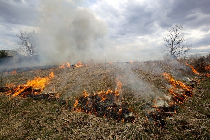 В Калуге зарегистрировано более 70 возгораний сухой травы